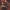 https://res.cloudinary.com/billionhands/image/upload/v1778415380/items/lv7gdx2vrhueqlug960b.jpg-3cover