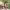 https://res.cloudinary.com/billionhands/image/upload/v1778421265/items/znbm9wmpkj3nikvqesxq.webp-0cover