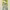 https://res.cloudinary.com/billionhands/image/upload/v1778423750/items/wwdb3ihlsmwfsug6q8qg.png-2cover