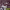 https://res.cloudinary.com/billionhands/image/upload/v1778426825/items/x8a0opsmamyt1cycgvaq.webp-0cover