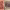 https://res.cloudinary.com/billionhands/image/upload/v1778435923/items/wtyooevieumezvc5zj9b.jpg-2cover