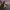 https://res.cloudinary.com/billionhands/image/upload/v1778438693/items/sw5ri9mrmyfrafmfwrne.avif-2cover