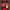 https://res.cloudinary.com/billionhands/image/upload/v1778438963/items/hrhacsvt4plmn2ek3ksl.jpg-0cover