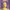 https://res.cloudinary.com/billionhands/image/upload/v1778438963/items/p0exqbdp7y5ylngubfcz.jpg-1cover