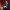https://res.cloudinary.com/billionhands/image/upload/v1778440141/items/igvxpyhx2nbzp1asdnwa.jpg-0cover