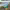 https://res.cloudinary.com/billionhands/image/upload/v1778441306/items/depg4tbch8b09s25638b.jpg-2cover