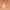 https://res.cloudinary.com/billionhands/image/upload/v1778445391/items/esu04y12uehgudlzun82.webp-3cover