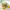 https://res.cloudinary.com/billionhands/image/upload/v1778447845/items/uvdpwmlttsjswxpypiu1.jpg-2cover
