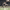 https://res.cloudinary.com/billionhands/image/upload/v1778448608/items/e10bfsuacx5mk9rdvakr.jpg-3cover
