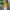 https://res.cloudinary.com/billionhands/image/upload/v1778457356/items/o2myigtlfvjajaov5mfq.webp-2cover