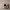 https://res.cloudinary.com/billionhands/image/upload/v1778457369/items/uvvra97nar3c8alewhnb.webp-3cover
