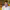 https://res.cloudinary.com/billionhands/image/upload/v1778462205/items/x1zftv3mtx0btrvlkyva.jpg-3cover