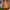 https://res.cloudinary.com/billionhands/image/upload/v1778468936/items/hdtzzceya90voifxador.avif-2cover