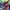 https://res.cloudinary.com/billionhands/image/upload/v1778474696/items/lwpy1hvczsj54vup83se.png-1cover