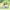 https://res.cloudinary.com/billionhands/image/upload/v1778485025/items/lcajw0rflsq5meb7mfwn.webp-2cover