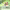 https://res.cloudinary.com/billionhands/image/upload/v1778485026/items/ptdq3iw5lb15llqbleks.jpg-0cover