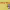 https://res.cloudinary.com/billionhands/image/upload/v1778485028/items/vzik3pvjhtodsjzadtds.webp-1cover