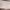 https://res.cloudinary.com/billionhands/image/upload/v1778485517/items/pniwos387nqusz8bnub4.jpg-0cover