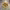 https://res.cloudinary.com/billionhands/image/upload/v1778488597/items/be6esslztuswhylwa60u.webp-3cover