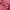 https://res.cloudinary.com/billionhands/image/upload/v1778495473/items/naakngjt37pkj5zmt4p0.jpg-0cover