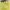 https://res.cloudinary.com/billionhands/image/upload/v1778506064/items/sggmmzfnt0owxbkycdia.jpg-2cover