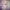 https://res.cloudinary.com/billionhands/image/upload/v1778507649/items/toawnwh8f8pzhzsvexwf.jpg-1cover