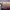 https://res.cloudinary.com/billionhands/image/upload/v1778510514/items/pawbm7lmcur8ffmcvuov.jpg-3cover