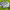 https://res.cloudinary.com/billionhands/image/upload/v1778514112/items/ynkbrjqlmjvzwwzxzjpt.jpg-3cover