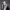 https://res.cloudinary.com/billionhands/image/upload/v1778516264/items/vgws2vtcutfxn8gpqr7o.png-3cover