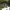 https://res.cloudinary.com/billionhands/image/upload/v1778518318/items/xfcowkffv4k3fculer9u.jpg-0cover