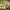 https://res.cloudinary.com/billionhands/image/upload/v1778523164/items/nf4nrpytwznbmy2lmmcn.jpg-3cover