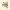 https://res.cloudinary.com/billionhands/image/upload/v1778523837/items/wohc9jglwxggyancshiw.jpg-2cover