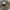 https://res.cloudinary.com/billionhands/image/upload/v1778527265/items/raivhwknclkd65o07l64.webp-1cover
