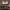 https://res.cloudinary.com/billionhands/image/upload/v1778531401/items/ohylejqv8akytquvkip0.jpg-2cover