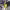 https://res.cloudinary.com/billionhands/image/upload/v1778531545/items/vak7j0jrjanujv1wqrw1.jpg-0cover
