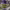 https://res.cloudinary.com/billionhands/image/upload/v1778531552/items/eptn4sh05t4n2hkaysw9.jpg-2cover