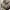 https://res.cloudinary.com/billionhands/image/upload/v1778535186/items/qtbrfm19kcar3fzyoexb.jpg-1cover