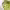 https://res.cloudinary.com/billionhands/image/upload/v1778537695/items/vt2sjjqe2iqphjonzxyl.jpg-2cover