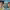 https://res.cloudinary.com/billionhands/image/upload/v1778541678/items/paxfuprsjtrhtz0wrbo5.avif-3cover