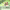https://res.cloudinary.com/billionhands/image/upload/v1778541959/items/lhxedgkvcfkrymfosql6.webp-1cover