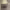 https://res.cloudinary.com/billionhands/image/upload/v1778545026/items/ukwisozwdvgirgjxwiz0.webp-2cover