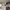 https://res.cloudinary.com/billionhands/image/upload/v1778545033/items/cjkvemsw1lpdmdcen1cl.jpg-3cover