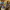 https://res.cloudinary.com/billionhands/image/upload/v1778546566/items/otjpsezmqyqori6zarvj.webp-3cover