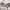 https://res.cloudinary.com/billionhands/image/upload/v1778547099/items/jhcxu9go9dpdbtymr015.jpg-2cover