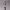 https://res.cloudinary.com/billionhands/image/upload/v1778552473/items/jgzvr5snqd1wlytu74im.jpg-2cover