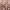 https://res.cloudinary.com/billionhands/image/upload/v1778557516/items/zepwkpjfwclzs3kxrysz.jpg-3cover