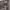 https://res.cloudinary.com/billionhands/image/upload/v1778560862/items/gwpflz1jaqnyuqsqmd2p.webp-1cover