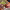 https://res.cloudinary.com/billionhands/image/upload/v1778565401/items/aioad5jxchhvc8a6esgc.jpg-2cover