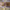 https://res.cloudinary.com/billionhands/image/upload/v1778565402/items/lfyrobaetunahtzcy6hs.jpg-0cover