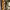 https://res.cloudinary.com/billionhands/image/upload/v1778565411/items/xixlqh4dmpxutr92r3u9.jpg-3cover